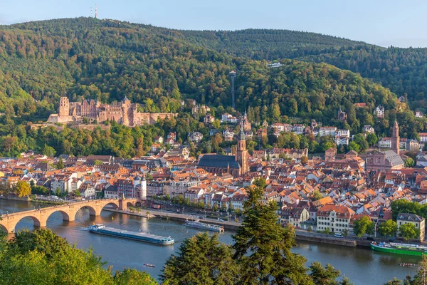 Almanya 'nın Neckar nehrinin arkasındaki Heidelberg Panoraması