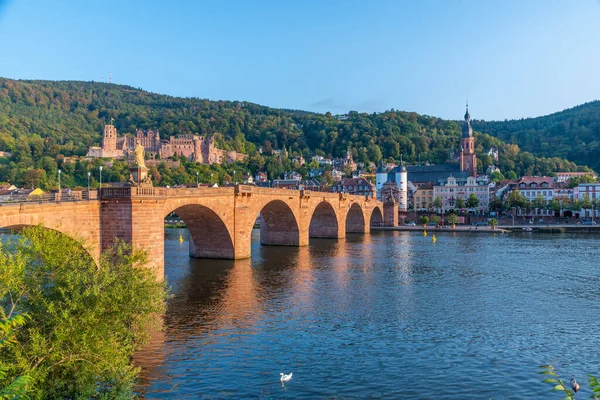 Almanya 'nın Neckar nehrinin arkasındaki Heidelberg Panoraması