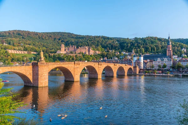 Almanya 'nın Neckar nehrinin arkasındaki Heidelberg Panoraması