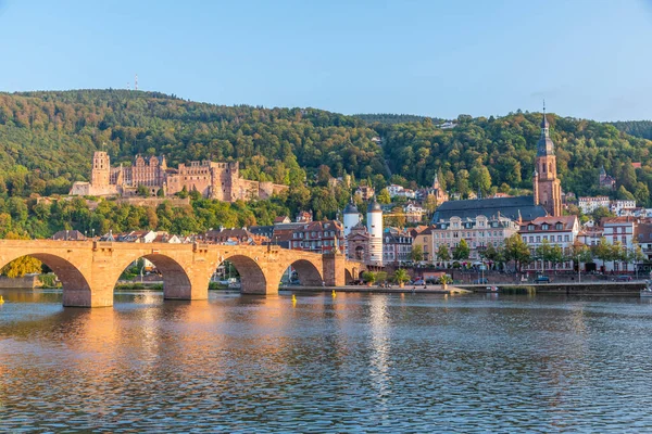 Almanya 'nın Neckar nehrinin arkasındaki Heidelberg Panoraması