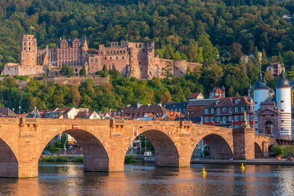 Almanya 'nın Neckar nehrinin arkasındaki Heidelberg Panoraması