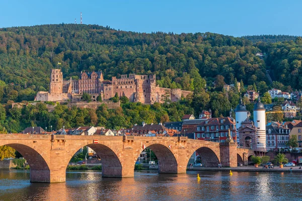 Almanya 'nın Neckar nehrinin arkasındaki Heidelberg Panoraması