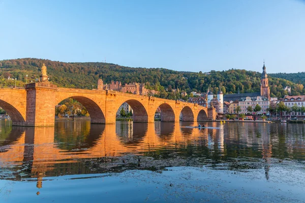 Almanya 'nın Neckar nehrinin arkasındaki Heidelberg Panoraması