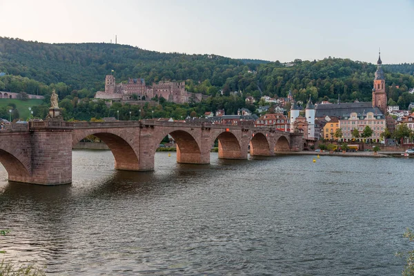 Almanya 'nın Neckar nehrinin arkasındaki Heidelberg Panoraması