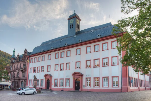 Universitetsmuseet Heidelberg Tyskland — Stockfoto