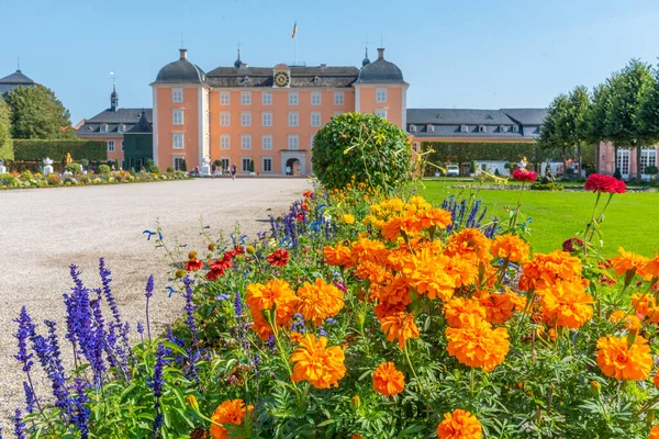 Палац Шветцинген Німеччині Який Видно Квітучого Саду — стокове фото