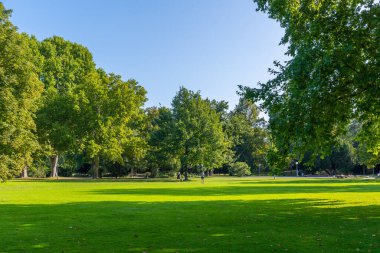 Almanya 'nın Stuttgart kentinde bir park manzarası