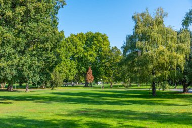 Almanya 'nın Stuttgart kentinde bir park manzarası