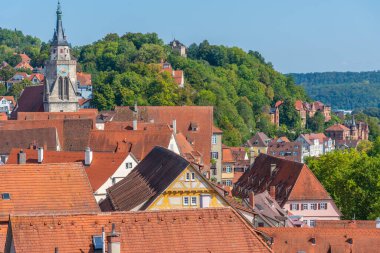 Almanya 'nın Tubingen kentinin havadan görünüşü