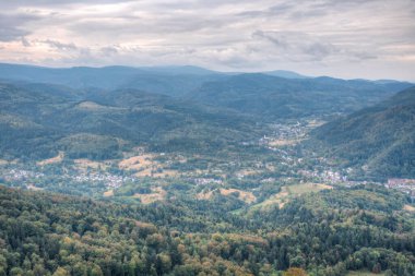 Almanya 'da Kara Orman Panoraması