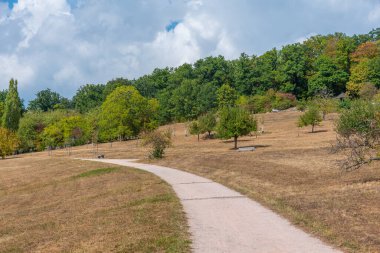 Almanya 'da Baden Baden' de bir tepeye park et.