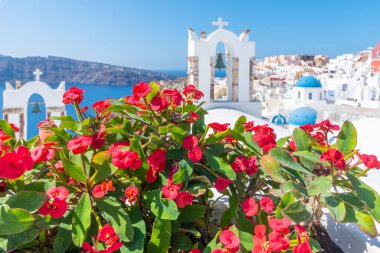 Yunanistan 'ın Santorini kentindeki Oia kasabasının kiliseleri ve mavi kupaları