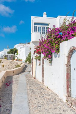 Yunanistan 'ın Santorini Adası, Fira' da Beyazyıkanmış cadde