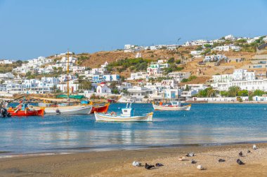 Yunanistan 'daki eski Mykonos limanının manzarası