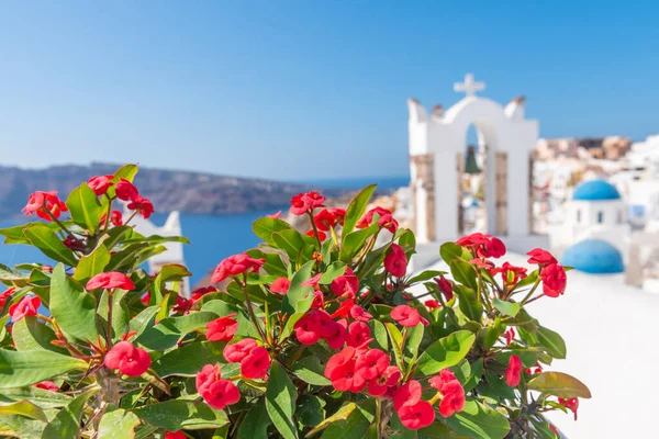 Yunanistan 'ın Santorini kentindeki Oia kasabasının kiliseleri ve mavi kupaları