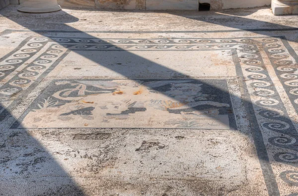 Mosaics Ancient Ruins Delos Island Greece — 스톡 사진