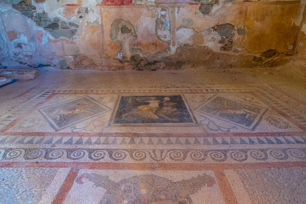Mosaics Dionysos Riding Tiger Delos Greece — стоковое фото
