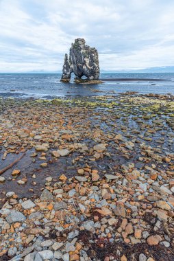 İzlanda 'daki Hvitserkur bazalt kayaları