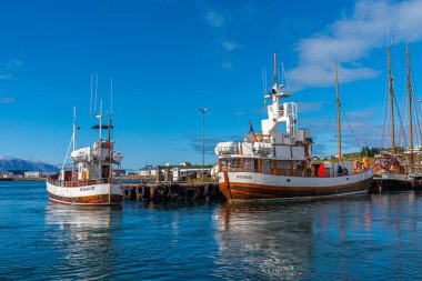 Husavik, İzlanda limanında demirleyen tekneler
