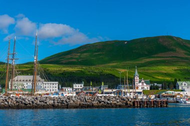 Husavik, İzlanda Limanı manzarası