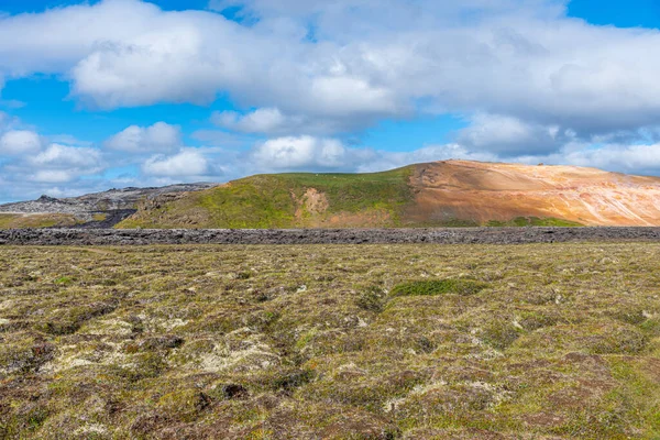 Musgo Florescendo Campos Lava Krafla Leirhnjukur Islândia — Fotografia de Stock