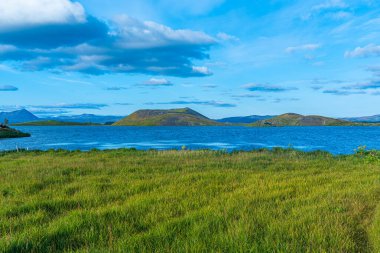 İzlanda 'daki Myvatn Gölü' nde bulunan Skutustadagigar sözde kraterleri