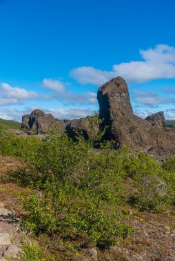 İzlanda 'daki Hljodaklettar' da altıgen bazalt kayaları