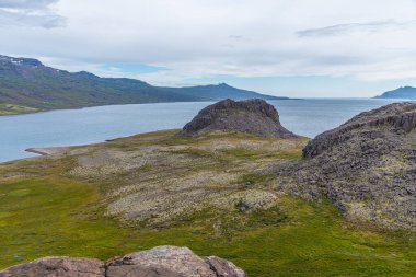 İzlanda 'da Reydarfjordur' un doğal manzarası