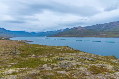 İzlanda 'daki Faşkrudsfjordur' un doğal manzarası