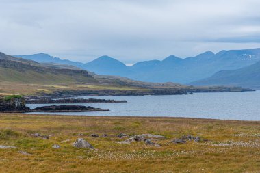 İzlanda 'daki Faşkrudsfjordur' un doğal manzarası