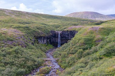 Svartifoss Şelalesi İzlanda 'daki Skaftafell Ulusal Parkı' nda.