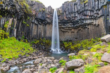 Svartifoss Şelalesi İzlanda 'daki Skaftafell Ulusal Parkı' nda.