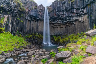 Svartifoss Şelalesi İzlanda 'daki Skaftafell Ulusal Parkı' nda.