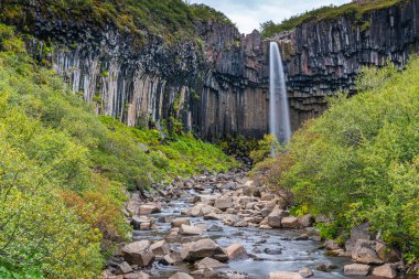 Svartifoss Şelalesi İzlanda 'daki Skaftafell Ulusal Parkı' nda.