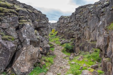 İzlanda 'daki Thingvellir Ulusal Parkı' nda kıtasal kayma görülüyor