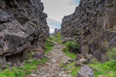 İzlanda 'daki Thingvellir Ulusal Parkı' nda kıtasal kayma görülüyor