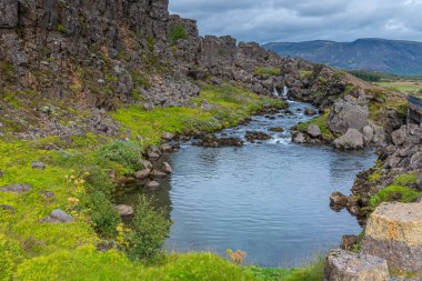 Oxara Nehri İzlanda 'daki Thingvellir Ulusal Parkı' ndan geçiyor.
