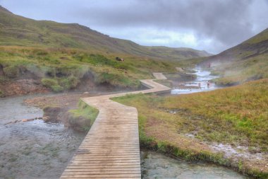 İzlanda 'daki Reykjadalur vadisinde kaplıca