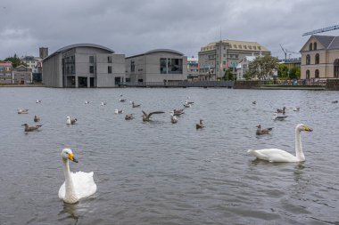 İzlanda 'nın Reykjavik kentindeki kasaba.