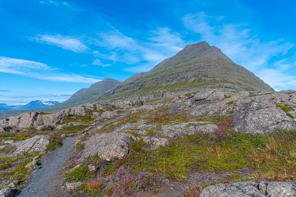 Natural Landscape Reydarfjordur Iceland — Stock Photo, Image