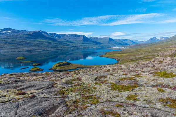 İzlanda 'daki Reydarfjordur ve alüminyum üretim tesisinin doğal manzarası