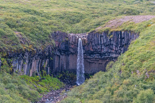 Cachoeira Svartifoss Parque Nacional Skaftafell Islândia — Fotografia de Stock