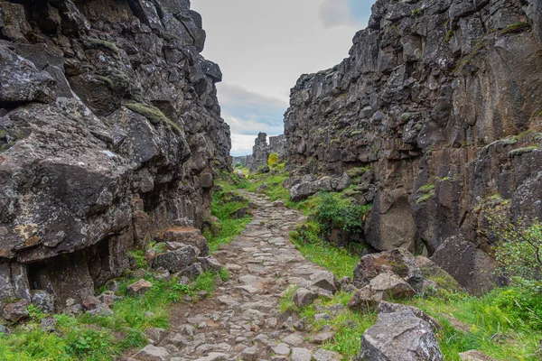 Continental Drift Visible Thingvellir National Park Iceland — 스톡 사진