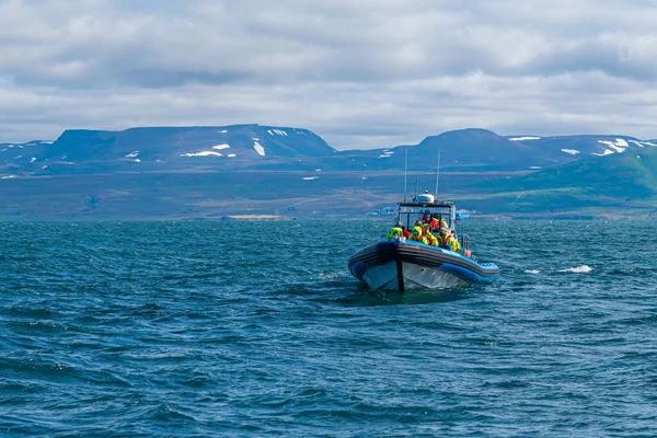 Husavik, İzlanda, 17 Ağustos 2020: Husavik, İzlanda 'da balina izleme gezisi