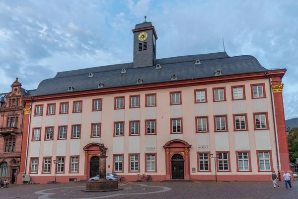 Speyer Tyskland September 2020 Universitetsmuseet Heidelberg Tyskland — Stockfoto