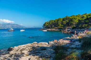 Dubrovnik, Hırvatistan, 25 Temmuz 2020: Hırvatistan 'ın Dubrovnik kenti yakınlarındaki Lokrum adasında Rocky plajı