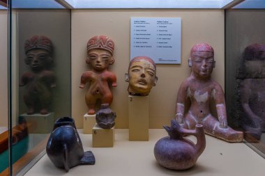 Las Palmas, İspanya, Janury 20, 2021: Las Palmas de Gran Canaria, İspanya 'daki Casa de Colon müzesinde yerel sanat sergisi.