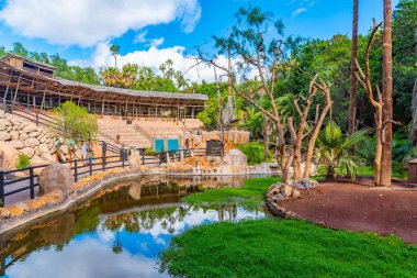 Los Cristianos, İspanya, 9 Ocak 2021: Tenerife, Kanarya Adaları, İspanya 'daki Orman Parkı' nda hayvan koruma alanları.