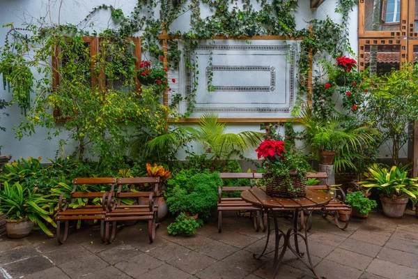 La Orotava, İspanya, Janury 12, 2021: La Orotava, Tenerife, İspanya 'nın eski kasabasındaki Casa de los Balcones' de avlu.