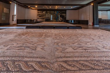 Devnya, Bulgaristan, 29 Mayıs 2020: Bulgaristan 'ın Devnya kentindeki mozaik müzesinde sergi